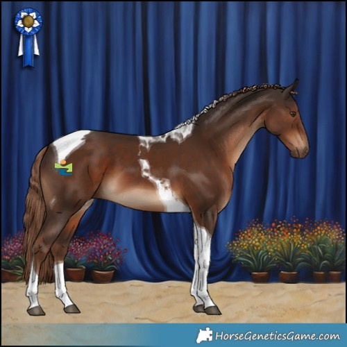 Horse Color:Liver Chestnut Tobiano 