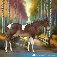 Horse Color:Liver Chestnut Tobiano 