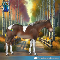 Horse Color:Liver Chestnut Tobiano 