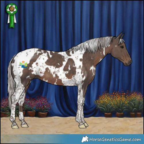 Horse Color:White Spotted Silver Black Tobiano