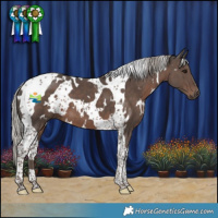 Horse Color:White Spotted Silver Black Tobiano