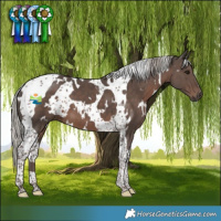 Horse Color:White Spotted Silver Black Tobiano