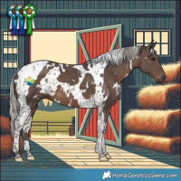 Horse Color:White Spotted Silver Black Tobiano 