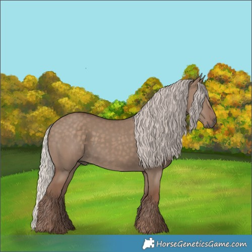 Horse Color:Silver Grullo 