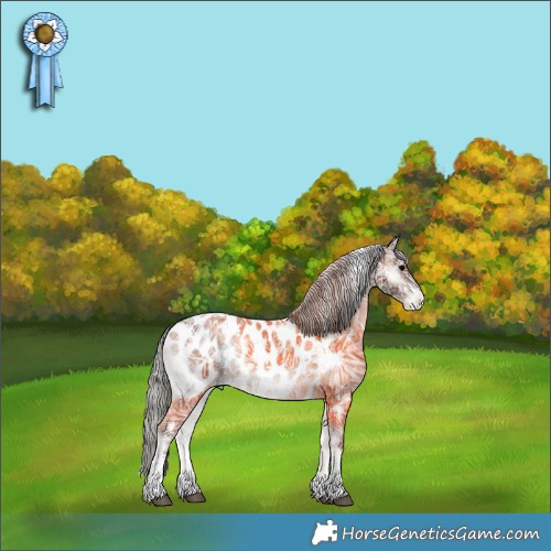 Horse Color:White Spotted Silver Blue Onyx Ice Mushroom Tobiano Appaloosa Rabicano