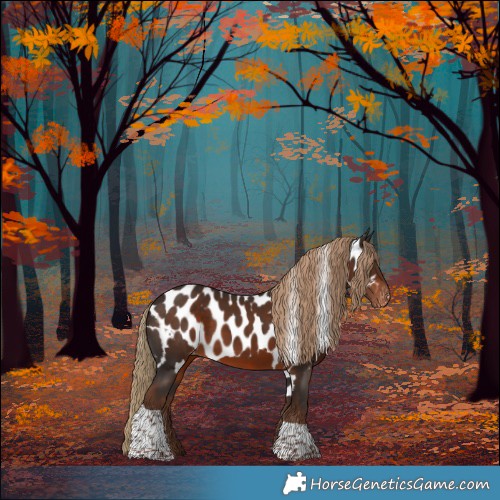 Horse Color:Liver Chestnut Tobiano Skewed LP Spotted 