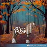 Horse Color:Liver Chestnut Tobiano Skewed LP Spotted 