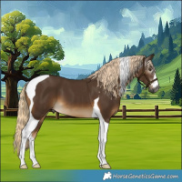 Horse Color:Gray Chocolate Palomino Tobiano