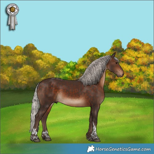 Horse Color:Silver Bay Tobiano 