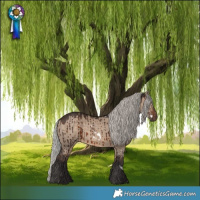 Horse Color:White Spotted Silver Brown Dun Rabicano Brindle