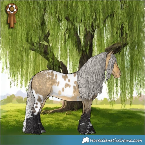 Horse Color:White Spotted Silver Buckskin Dun Skewed LP Spotted 