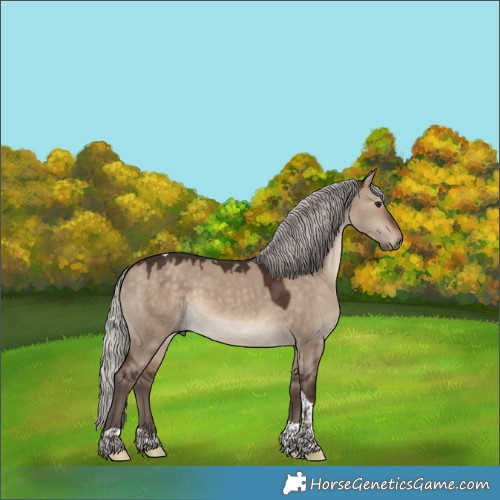 Horse Color:Silver Brown Dun Tobiano