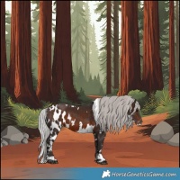 Horse Color:White Spotted Silver Brown Skewed Appaloosa