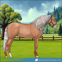 Horse Color:Silver Sable Champagne 