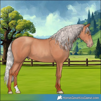 Horse Color:Silver Sable Champagne 