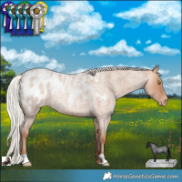 Horse Color:Silver Sable Champagne Roan Blanket Rabicano