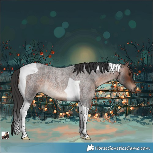 Horse Color:Brown Roan Tobiano Rabicano