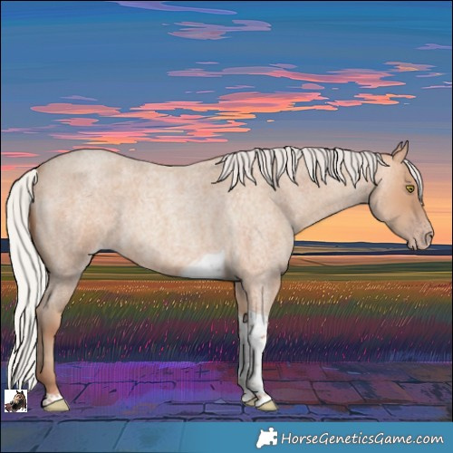 Horse Color:Silver Amber Champagne Roan Tobiano