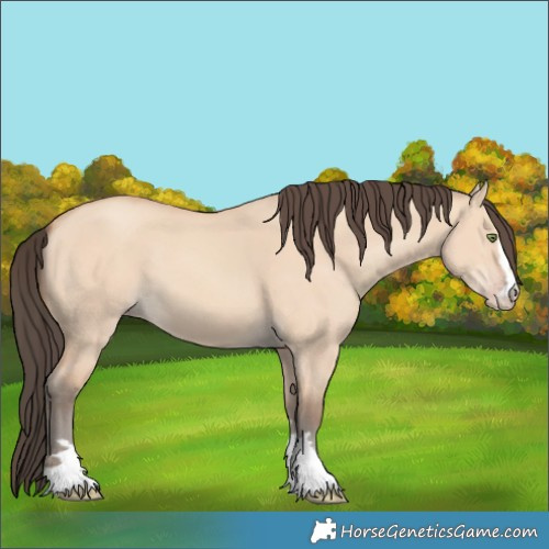 Horse Color:Amber Champagne Dun 