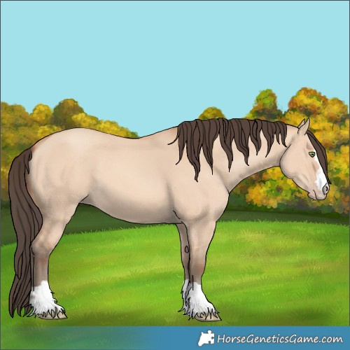 Horse Color:Amber Champagne Dun 
