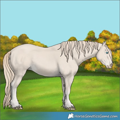 Horse Color:Smoky Creme 
