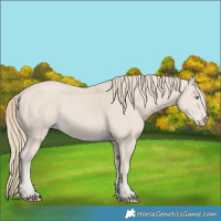 Horse Color:Smoky Creme 