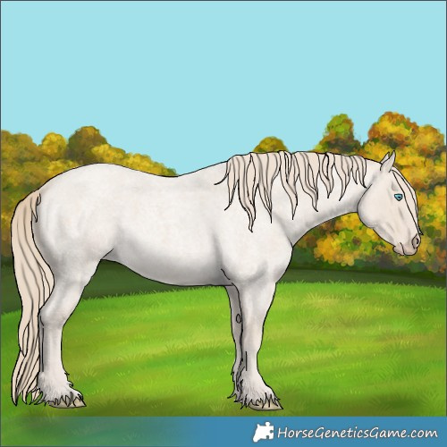 Horse Color:Smoky Creme Roan 