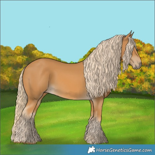 Horse Color:Palomino 