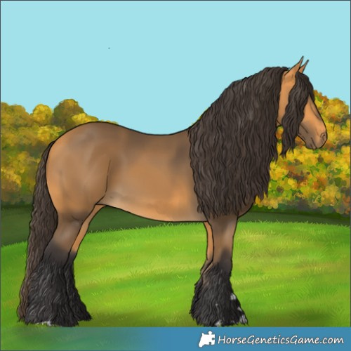 Horse Color:Buckskin 