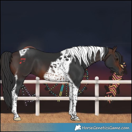 Horse Color:Brown Tobiano 