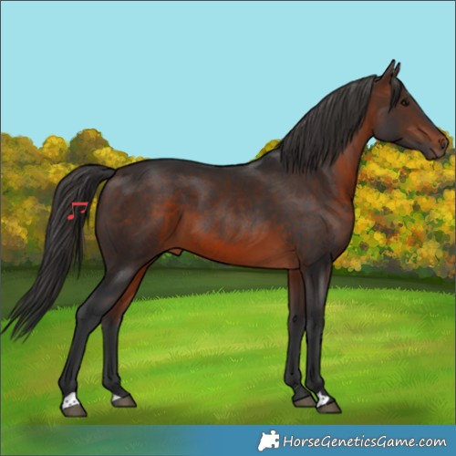 Horse Color:Brown 