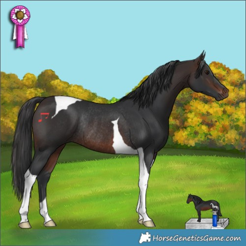Horse Color:Brown Tobiano Rabicano