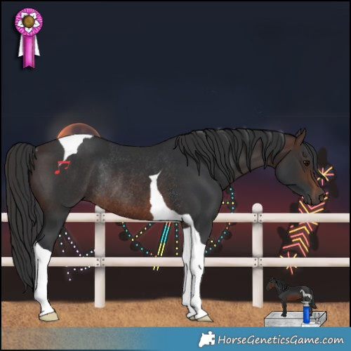 Horse Color:Brown Tobiano Rabicano 