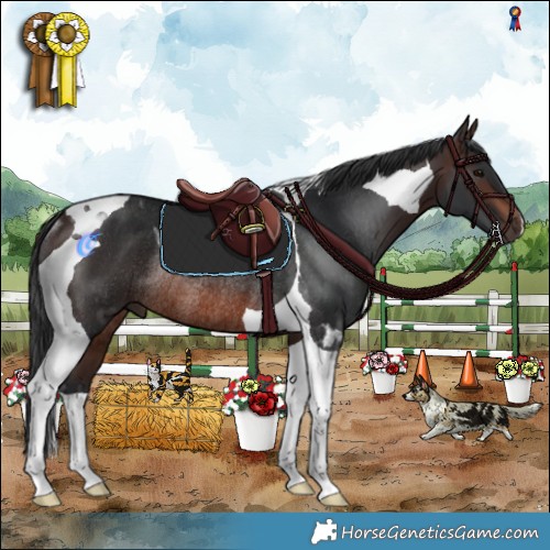 Horse Color:Brown Tobiano Rabicano 