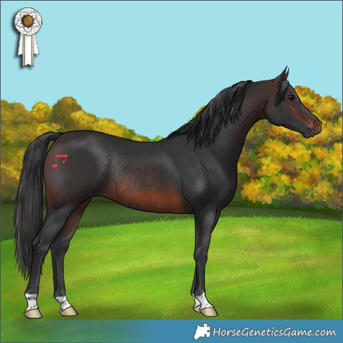 Horse Color:Brown Rabicano 