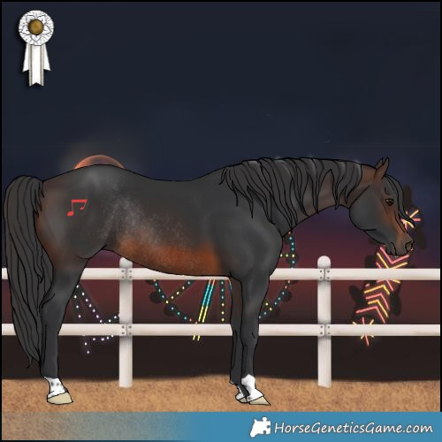 Horse Color:Brown Rabicano 