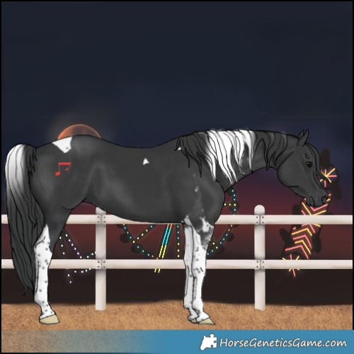Horse Color:Black Tobiano 