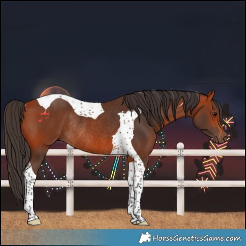 Horse Color:Bay Tobiano Rabicano 