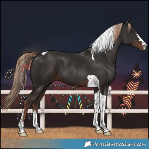 Horse Color:Liver Chestnut Tobiano 