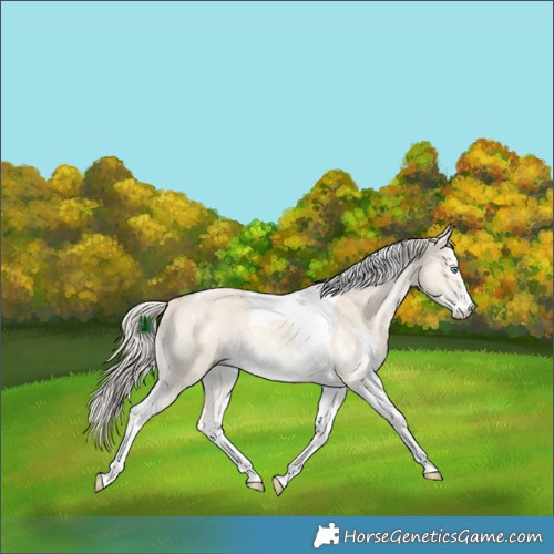Horse Color:Cremello Dun Sabino Tobiano Rabicano