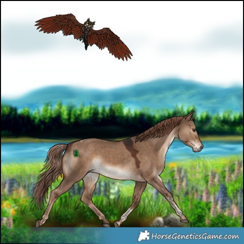 Horse Color:Liver Red Dun Tobiano Rabicano 