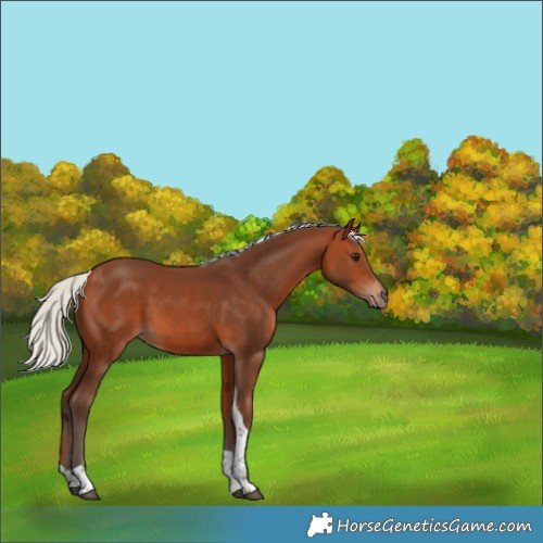 Horse Color:Silver Bay Tobiano 