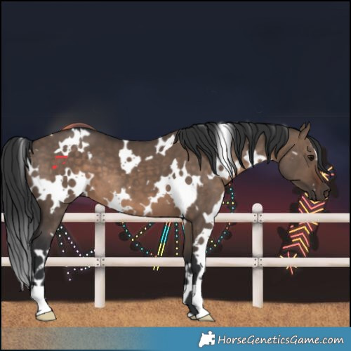 Horse Color:White Spotted Brown Dun 