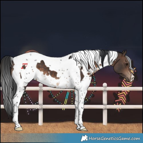 Horse Color:White Spotted Brown Tobiano 