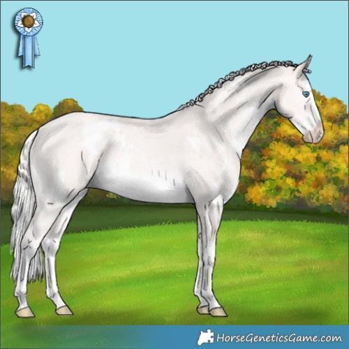 Horse Color:White Spotted Silver Perlino Splash Rabicano