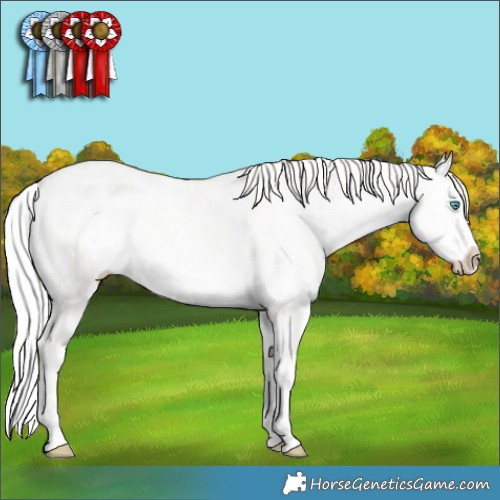 Horse Color:White Spotted Silver Perlino Dun Splash Rabicano Brindle 