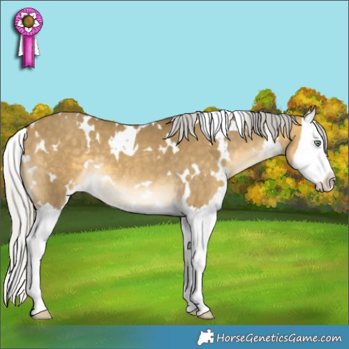 Horse Color:White Spotted Silver Sable Cream Champagne Splash 
