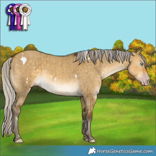 Horse Color:Gray White Spotted Silver Sable Cream Champagne Dun Brindle