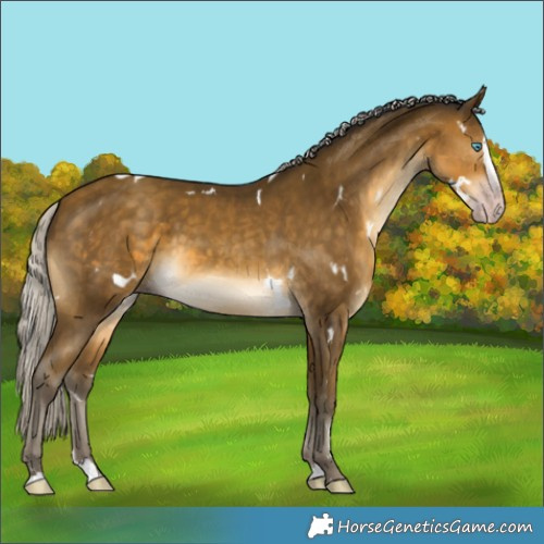 Horse Color:Gray White Spotted Silver Sable Cream Champagne Splash 