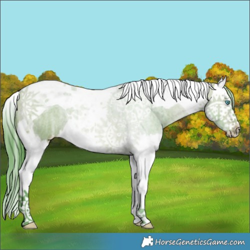 Horse Color:Watercolor Bay Ice Splash Tobiano 